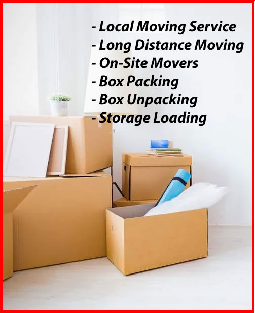 Packers And Movers Noida Sector 60